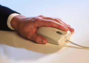 mouse